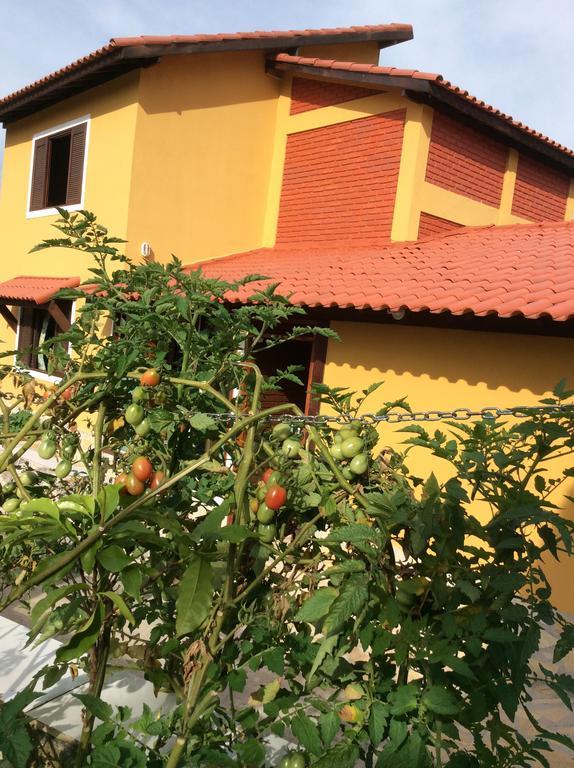 Pousada Chale Na Roca Penedo Exterior photo